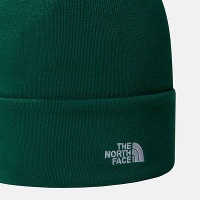 The North Face Norm Beanie Green