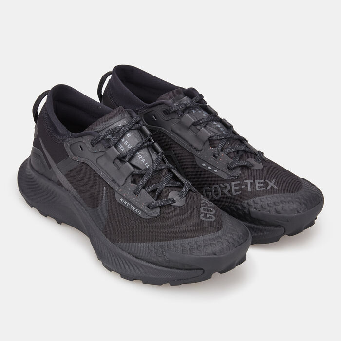 Nike Men's Pegasus Trail 3 GORE-TEX Shoe Black image number 1