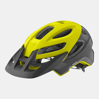 Giant Roost Helmet - Large (59-63 cm) Multi