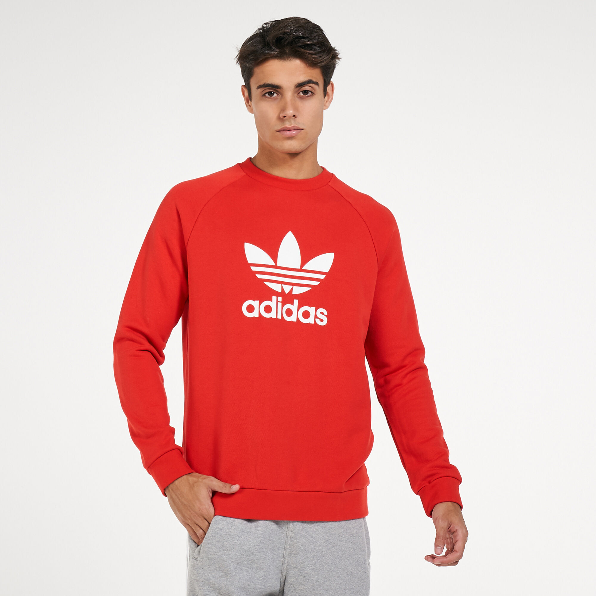Adidas elevated crew sweatshirt store