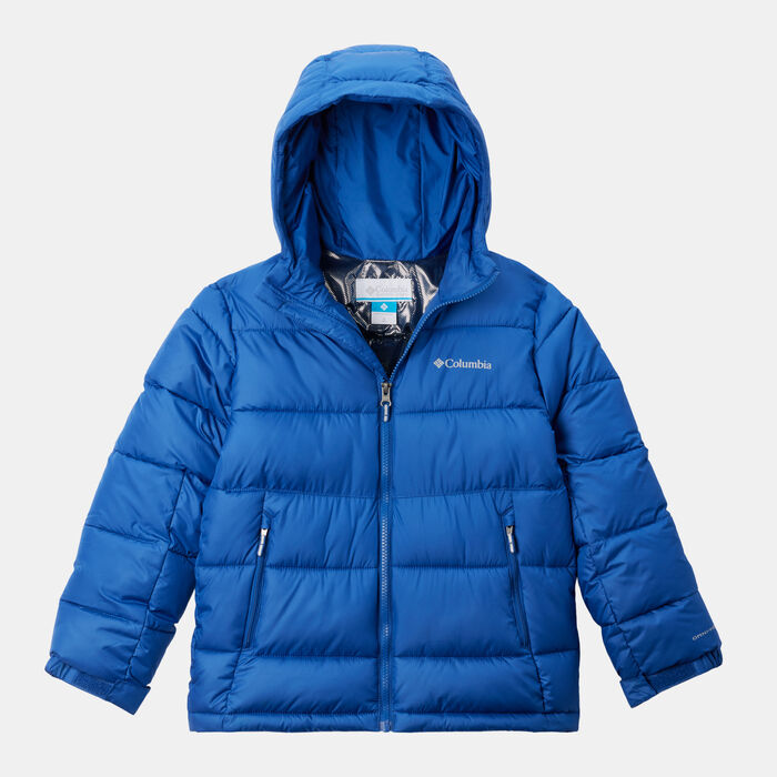 Columbia Kids' Pike Lake II Hooded Puffer Jacket (Younger and Older Kids) Blue image number 0