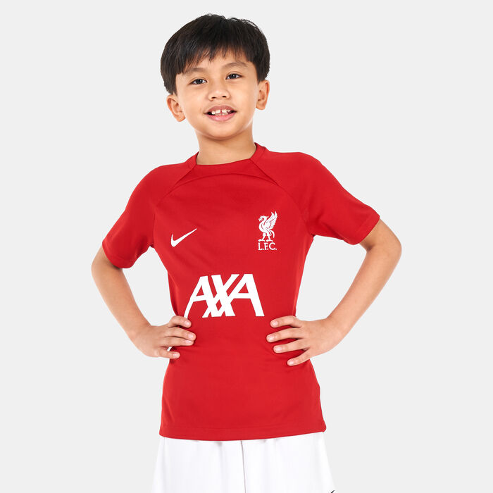 Nike Kids' Dri-FIT Liverpool F.C. Academy Pro Top (Older Kids) Red image number 0