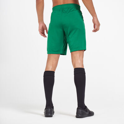 Nike Men's Portugal 2020 Stadium Home Shorts Green
