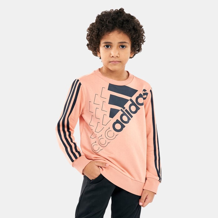 adidas Kids' Essentials Logo Sweatshirt Blue adidas Kids' Essentials Logo Sweatshirt Blue image number 0