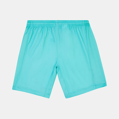 Nike Kids' Dri-FIT F.C. Barcelona Stadium 3rd Football Shorts - 2023/24 Green Nike Kids' Dri-FIT F.C. Barcelona Stadium 3rd Football Shorts - 2023/24 Green