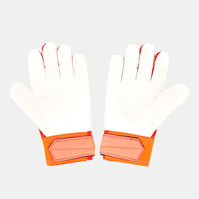 adidas Men's Predator Edge Training Gloves Red adidas Men's Predator Edge Training Gloves Red