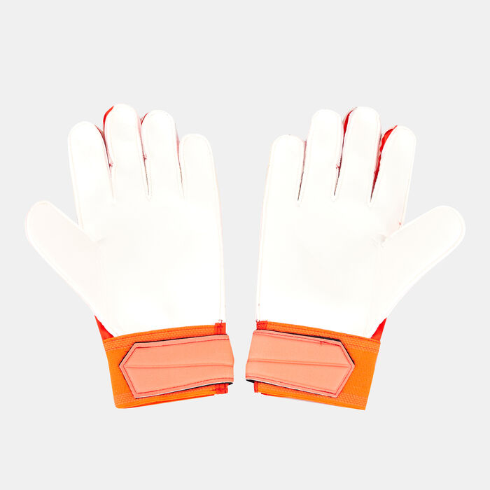 adidas Men's Predator Edge Training Gloves Red adidas Men's Predator Edge Training Gloves Red image number 1