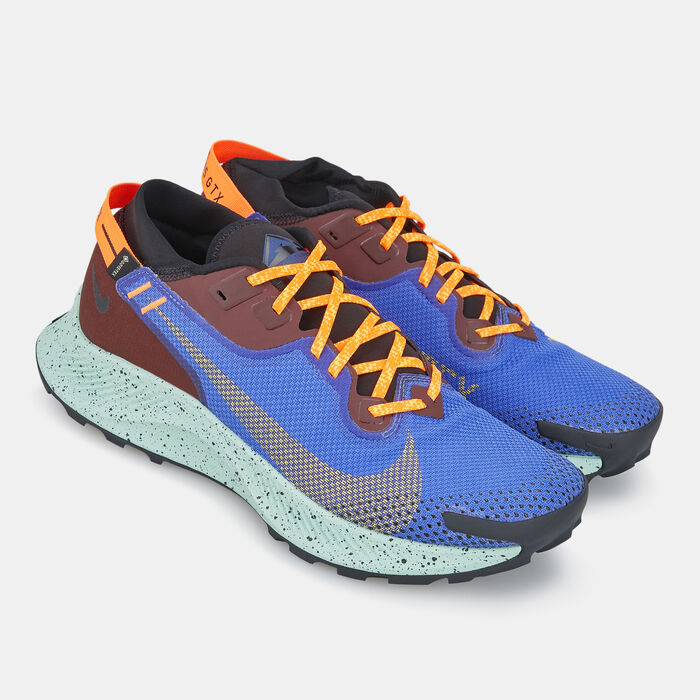 womens pegasus trail 2 gore tex