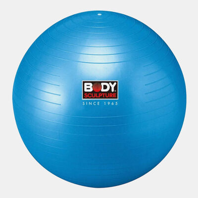 Body Sculpture Massage Gymball with Pump (26 inches) Multi