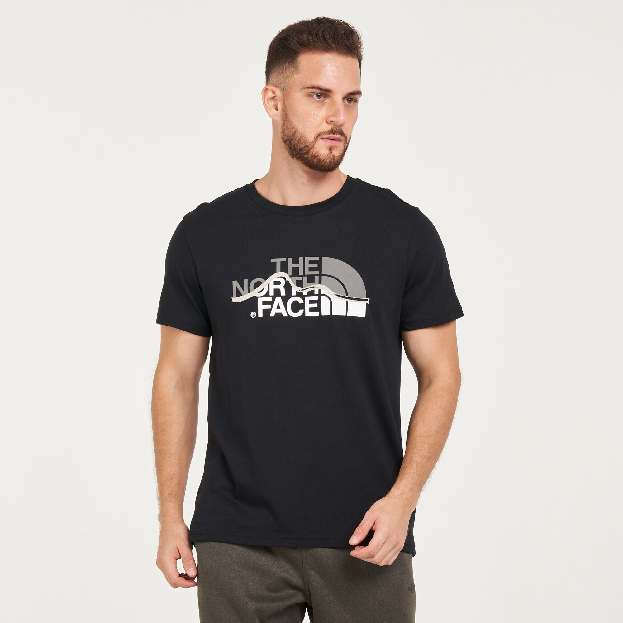 North face mountain line t shirt on sale