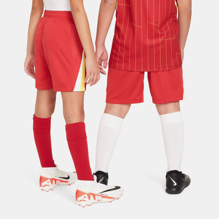 Nike Kids' Liverpool F.C. Dri-FIT Stadium Home Football Shorts Red Nike Kids' Liverpool F.C. Dri-FIT Stadium Home Football Shorts Red image number 1