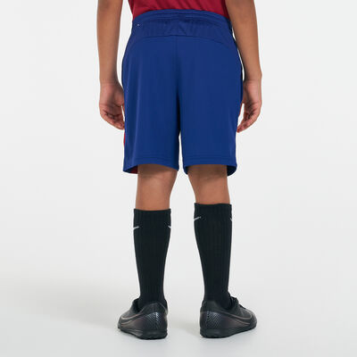 Nike Kids' Dri-FIT F.C. Barcelona Academy Pro Shorts Blue Nike Kids' Dri-FIT F.C. Barcelona Academy Pro Shorts Blue