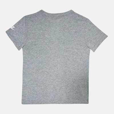 Nike Kids' Graphic T-Shirt (Little Kids) Grey