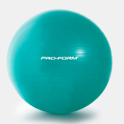 ProForm 55cm Stability Ball Multi