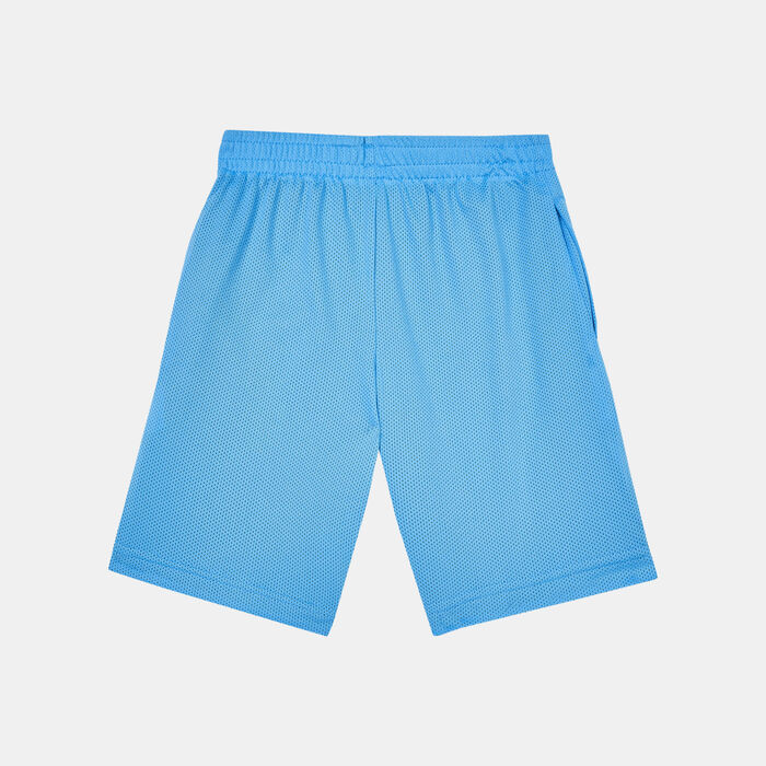 Jordan Kids' HBR Reverse Shorts Blue Jordan Kids' HBR Reverse Shorts Blue image number 1