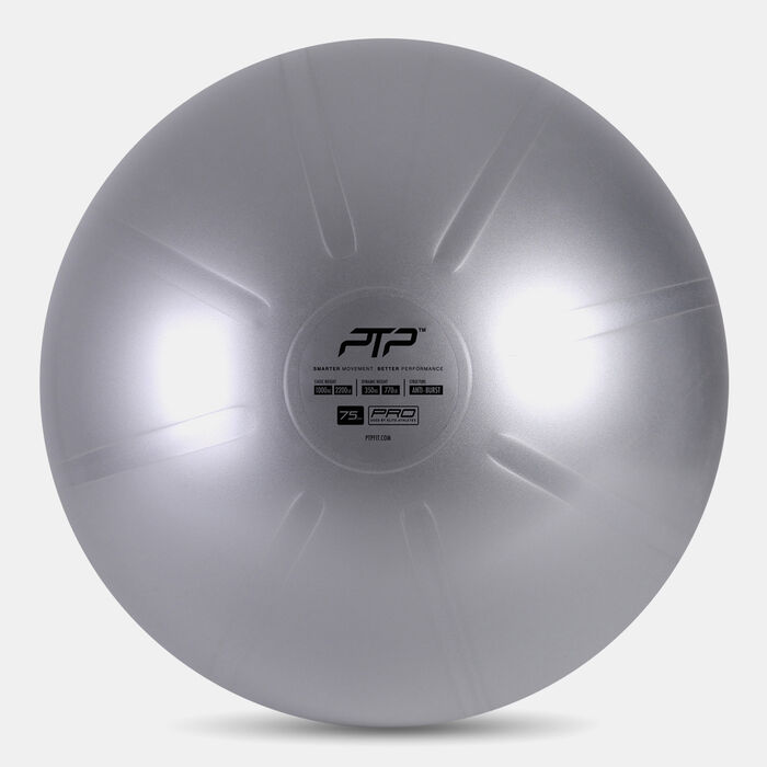 PTP Core Ball (75cm) Grey PTP Core Ball (75cm) Grey image number 0