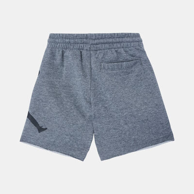 Jordan Kids' Jumpman Air Fleece Shorts (Younger Kids) Grey