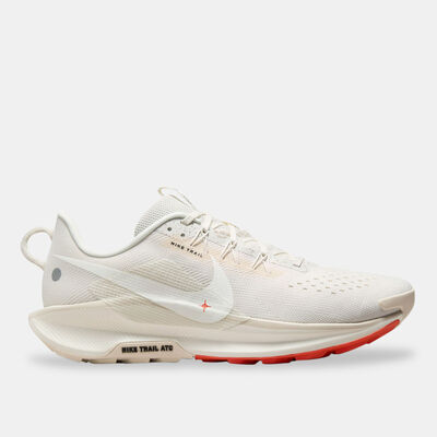 Nike Men's Pegasus 5 Trail-Running Shoes Grey