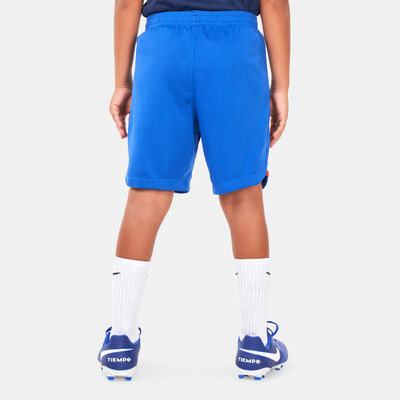 Nike Kids' France Dri-FIT Stadium Away Shorts - 2022 Blue