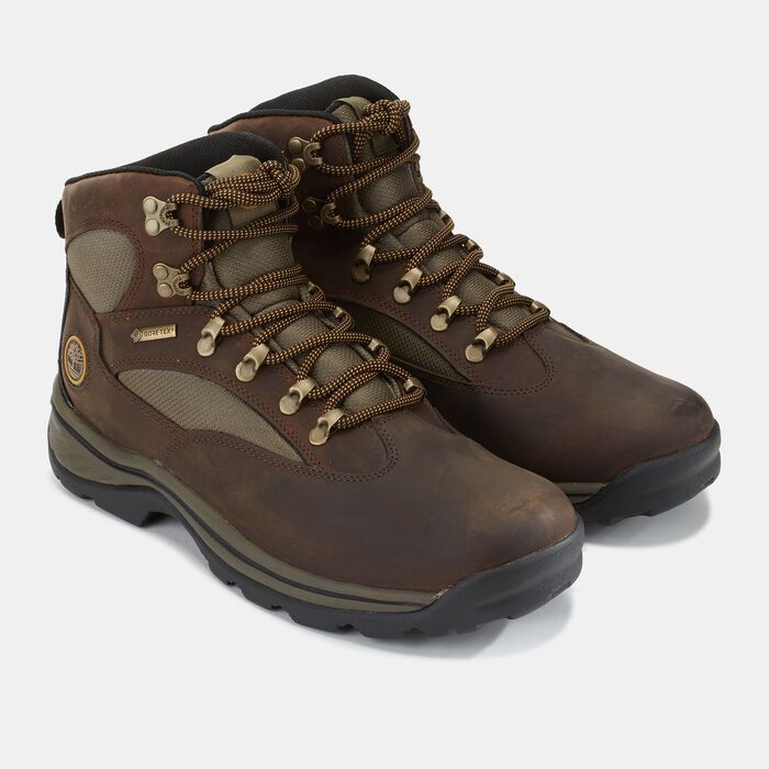Timberland Men's Chocorua Trail Mid Waterproof Hiking Boot Brown image number 1